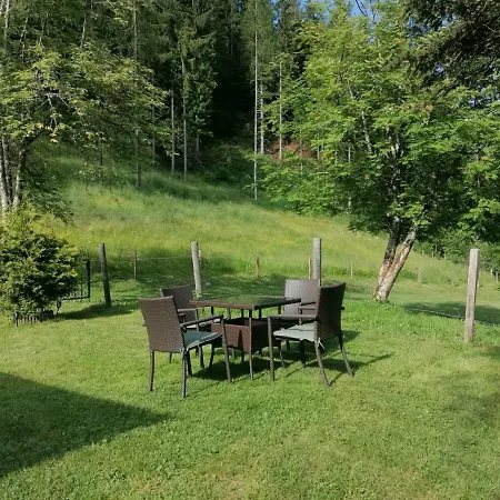 Hébergement de vacances Berghaus Tauernblick *
